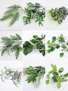 ดอกไม้เทียมสีเขียว ต้นไม้ป่าชายหาด ดอกไม้สำหรับตกแต่งสวน ใบหน้าช้าง ดอกไม้สำหรับงานแต่งงาน เครื่องประดับตกแต่งสวนกลางแจ้ง