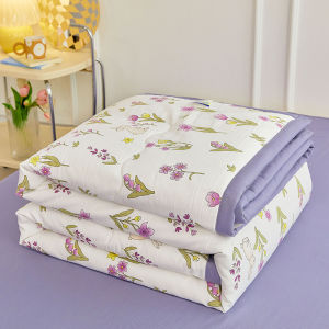 Class a Summer Air Conditioner Quilt Double Layer Soybean Cotton Duvet Cover Set Washable Thin Polyester Fiber Filled Quilt