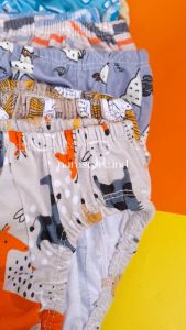 5 Pcs Celana Dalam Anak laki-Laki Bahan Libby/Velvet/Babydoll/Katun Motif Lucu 1-6 Tahun