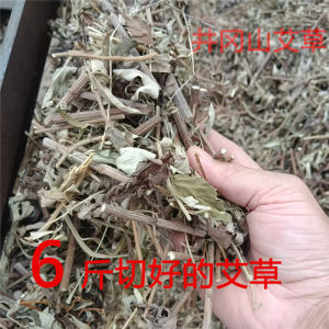 Authentic Large Leaf Artemisia Good Effect Clean No Dross Sun-dried Artemisia Cut Dragon Boat Artemisia Foot Soak Whole