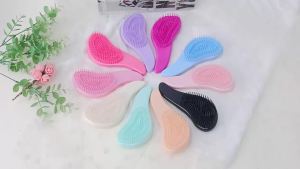 Comfortable Handle Anti Static Mini Plastic Massage Hair Brush Dry and Wet Shower Massage Hairbrush for Salon Hair Styling Tools