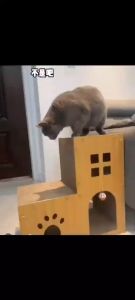 กระดานลับเล็บแมว L-Shaped Cat Scratching House ทนต่อการสึกหรอแนวตั้ง