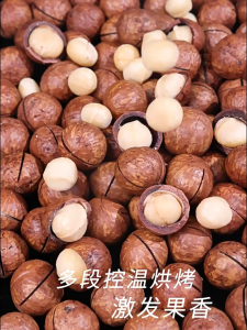 New Arrival Macadamia Nuts_500g Creamy Bulk Nut Snack Large Grain Smmer Fruit