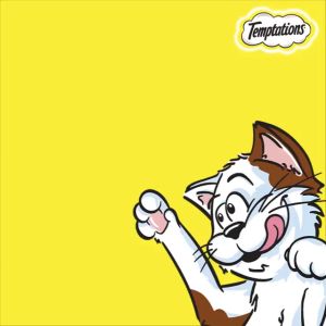 Temptations Chicken Tuna Salmon Cat Treats Value Mega Pack 160G