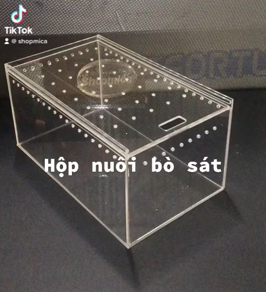 Hộp Nuôi Bò Sát Côn Trùng Mica Trong Suốt (nhận đặt kích thước lớn ...