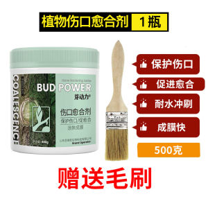 Plant Tree Fruit Tree Wound Healing Agent Bonsai Branch Pruning Tree Pile Bark Grafting Incision Repair Smear Cream