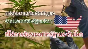 น้ำมันดาวอินคาผสมเทอร์ปีน เพื่อสุขภาพที่ดีของคุณ! -R9 INCA OIL TERPENE -