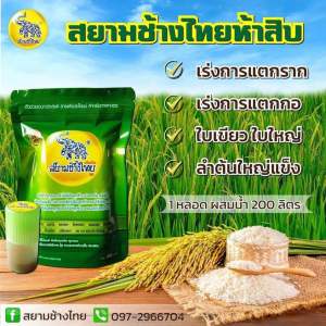 หัวเชื้อสยามช้างไทยตัวช่วยเอนกประสงค์