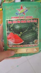 (Gói 20gr) Hạt Giống Dưa Hấu Mỹ Nhân Lai F1 979 THÀNH ĐẠT NÔNG (Vỏ sọc)
