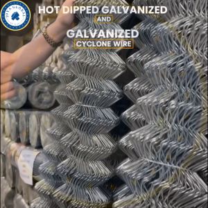 Galvanized Cyclone Wire Mesh Roll Fence Chain Link Design Pvc Coated  Mesh Wire Net Gate Door Fence