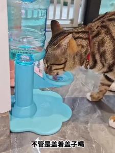 Cat Dog Water DispenserAutomatic Pet Water DispenserNo Electricity Required Filter-Free Pet Water DispenserPet Accessories