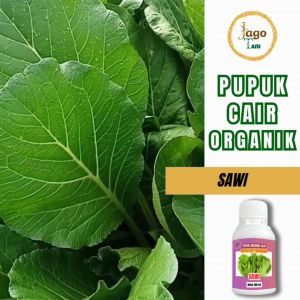 Pupuk Organik Cair Sawi 100 Ml Pelebat Daun Tumbuh Lebih Segar Dan Penyubur By Jagotani Yogyakarta