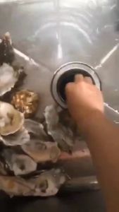 Lucky Star Mall 560W/370W Food Waste Disposer: A Comprehensive Guide