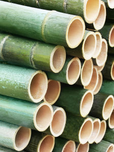 สด สีเขียว ไม้ไผ่กลวงอุปกรณ์ประกอบฉากภูมิทัศน์สําหรับการสร้างแหวนอนุบาลหลอดไม้ไผ่ขนาดใหญ่และขนาดเล็กเรือดอกไม้