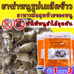 🐭ไม่มีผล คืนเงิน 10 เท่า🐭ยาเบื่อ เบื่อหนูแห้ง ฆ่าหนู เบื่อหนู กำจัดหนูในบ้าน ฆ่าหนูแห้ง กำจัดหนูบ้าน เบื่อหนูแรง เหยื่อดักหนู กำจัดหนู ยาฆ่าหนู สะตอมยาเบื่อหนู ยาเบื่อ หนูตายแห้ง ยาเบื่อหนูแห้ง ขนมหนูตายแห้ง ยาเบื่อหนูเม็ด ฆ่าหนูในบ้าน ยาหนู