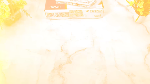 Vicenza Multi Casserole - Wadah Saji Makanan Snack BA749 Motif Mawar