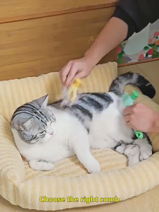 Pet Hair Brush Dog Cat Hair Removal Needle Comb Removes Tangled Hair Pet Grooming Tool Cat Care