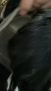 Durable Lace Front Wigs: A Comprehensive Guide