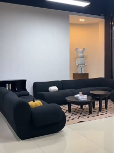 Trikings Minimalist Black Free Combination Compression Sofa