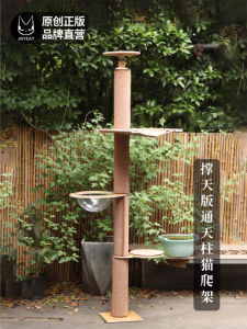 Joycat Tong Tianzhu Support Sky Version Solid Wood Multi-Layer Board Cat Climbing Frame Toy Cat Nest Grinding Claw Cat Scratch Board Cat Tree Punch-Free