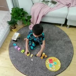 Short Plush Childrens Rug Round