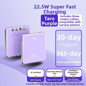 Icon | Carry-on Plane Friendly Portable Charger with Built-in Cable and Fast Charging 20000mAh