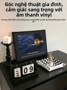 MEIWEISI | Vintage Vinyl Record Decorative Painting