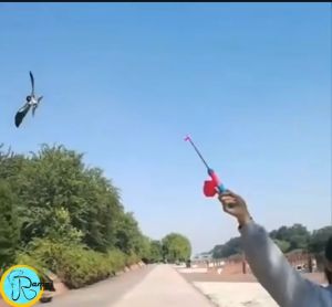 Layang Layang Burung Elang 1 Set Termasuk Joran Tongkat Mainan