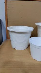 กระถางต้นไม้พลาสติก สีขาว ขนาด 4 5 6 8 9 นิ้ว