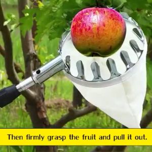 ❤READY STOCK❤Fruit picker Fruit picker with adjustable long pole Fruit Picker Orchard Gardening Mango Papaya guava High Tree Picking Tools Portable Fruits Catcher For Harvest Picking Mango Collector