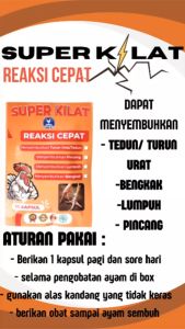SUPER KILAT - Obat ayam lumpuh / ayam Pincang turun urat