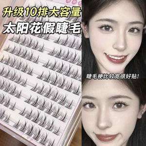Non-glue Sunflower Single Cluster False Eyelashes Multiple Sizes Beginner Friendly Natural Looking Beauty Tools from China