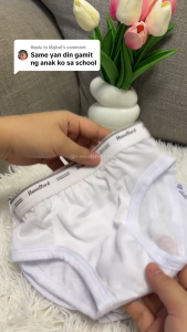 3/6 Pieces Briefs Packed Kids Underwear Newborn babies 1-13 years old Bundles