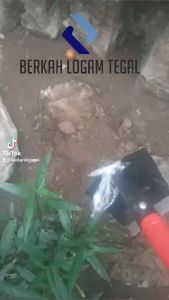 Pacul Kebun Mini Gagang Merah Berkualitas