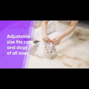 New Release Dog Calming Pheromone Collar Cat Relieve Anxiety Adjustable Comfortable Collar For Puppy Kitten Large Dog Accessorie