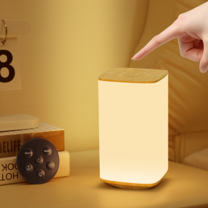 Rechargeable Touch Table Lamp RGB Dimmable Night Light with Remote Control Timed Bedside Lamp For Bedroom Living Room Lighting