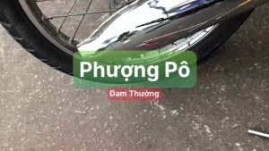 ⚡️FREESHIP⚡️ pô đam thường giá rẻ cho wave nhỏ-dream-cup