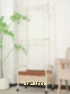 JIAJIESHI | Portable Storage Clothes and Hat Rack