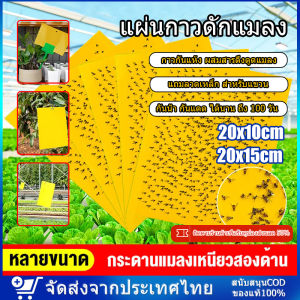 สีเหลือง แผ่นกาวดักแมลง (มีกาวในตัว 2 ด้าน)ไร้สารพิษ! กาวดักแมลงวัน รุ่นพลาสติก 50/100/200 แผ่น ขนาด 20x10/20x15 ซม. สำหรับดักแมลงวันทอง แมลงศัตรูพืช​ต่างๆ กับดักแมลงกินผัก ดักแมลงศัตรูพืช กาวดักแมลงวันทอง แผ่นสติกเกอร์ดักจับแมลง ดักยุง/แมลงวัน/มด