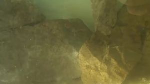 Mồi Câu Lure Bằng Kim Loại VIB 5g / 7g / 10g / 14g / 20g Mắt Xoay 3D Có Đuôi Spiner ML01