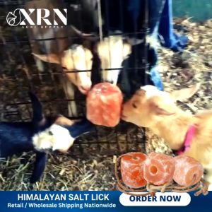 Himalayan Mineral Rock Salt Lick on Rope Digestive Aid for Animals Salt Block for Livestock 1-2KG