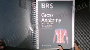 BRS Gross Anatomy 9th Edition