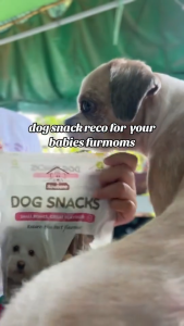 Howbone Dog Treat Dog Snacks 270g Mini Small Bone (Milk Beef Chicken Mix) | Easypets