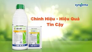 Thuốc trừ bệnh Anvil 5SC Syngenta - trừ bệnh phổ rộng thương hiệu cao cấp - 1000ml