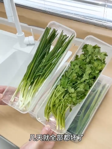 5ชิ้น กล่องใส่เส้นพาสต้าแบบปิดผนึกอเนกประสงค์ / ภาชนะจัดเก็บอาหารสดสำหรับเส้นก๋วยเตี๋ยว เนื้อสัตว์ ผลไม้ ผัก / กล่องใส่อาหารสปาเก็ตตี้สำหรับตู้เย็น / กล่องใส่สปาเก็ตตี้ต้นหอมทรงสี่เหลี่ยมผืนผ้าใส / กล่องเก็บของโปร่งใสแบบวางซ้อนกันได้ในตู้เย็นในครัว