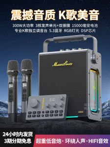 Berlin Sound Bluetooth Speaker High Volume 300W High End Home Outdoor K-Song Sound System Integrated Microphone Wireless Subwoofer