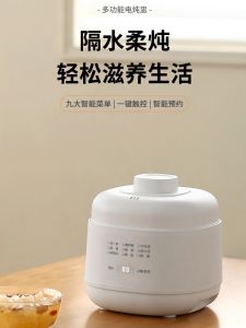 Multifunctional Ceramic Electric Slow Cooker for Baby Supplementary Food Soup Making Porridge Cooking Birds Nest Home Use