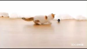 1 Pc Pet Cat Smart Rotation Ball  Automatically Avoid Obstacles USB Rechargeable Luminous LED Self Rotating Toys Pet Accessories