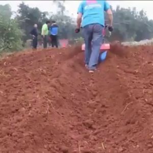 Micro Tillage Machine Rotary Cultivator Opener Furrow Plough Adjustable Walking Multifunction Small Orchard Fertilization Digging the Trench Agriculture Farming Equipment Machin