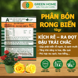 5 Gói Phân Bón Lá Rong Biển GreenHome Seaweed Gói 10gr Hữu Cơ Ra Hoa Đậu Trái Chắc Hạt Tăng Khả Năng Ra Đọt Tốt Rễ